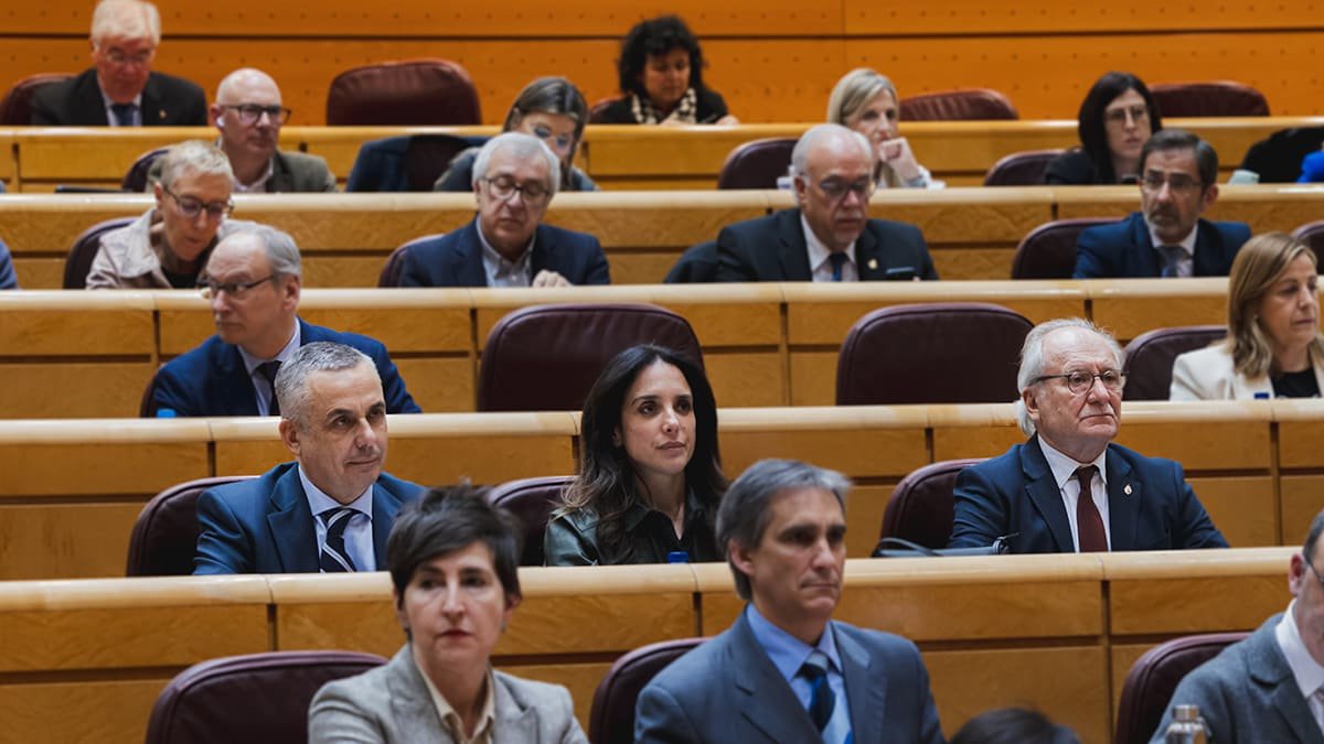 Ángel Pelayo, Paloma Gómez y Fernando Carbonell, senadores de Vox - Foto de Vox